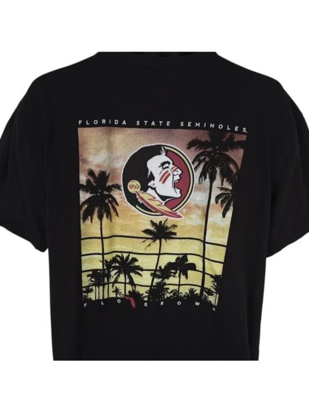 Florida State Seminoles T Shirt Mens Size XL Black NCAA University